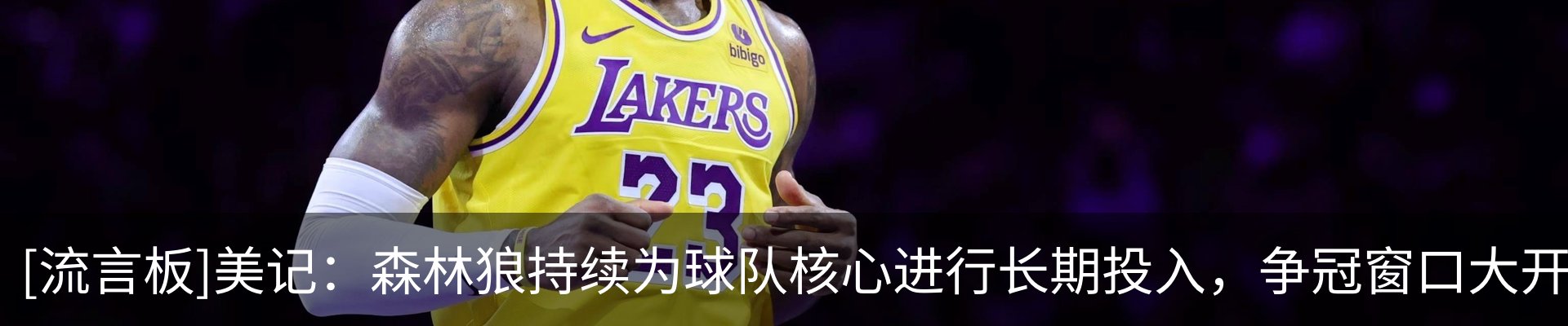 最新动态